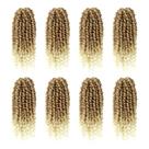 Crochê Hair Bileaf Pretwisted Passion Twist 25 cm, 8 pacotes