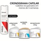 Cronograma Capilar Intensivo - Cabelos Recuperados em Menos de 4 semanas Gaboni