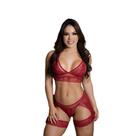 CROPPED lingerie SEM BOJO EM ARRASTÃO E RENDA, POSSUI tanga COM CINTA LIGA CROPPED lingerie SEM BOJO EM ARRASTÃO E RENDA, POSSUI tanga COM CINTA LIGA