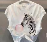 Cropped zebra