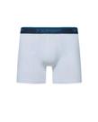 Cueca boxer microfibra torp