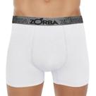 Cueca Boxer Suporte Anatômico Zorba 667 Algodão Cueca Boxer Suporte Anatômico Zorba 667 Algodão