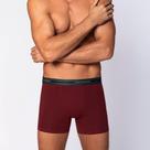 Cueca Lupo Boxer Algodão com Elastano 523-003