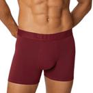 Cueca Lupo Boxer Algodão com Elastano 784-069
