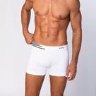 Cueca Lupo Boxer Microfibra Sem Costura 436-002