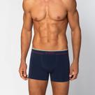 Cueca Lupo Boxer Microfibra Sem Costura 733-004 Cueca Lupo Boxer Microfibra Sem Costura 733-004
