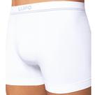 Cueca lupo boxer ref:436 masculino