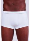 Cueca Sunga Lupo 00676-002 Adulto Sem Costura Microfibra T. P/GG