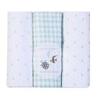 Cueiro Flanelado Bordados Papi Kit 3 Unidades Bebê