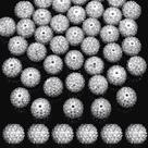 Cuentas de Resina con Cristal de Strass Redondas de 20 mm Blancas (40 Piezas)