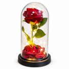 Cúpula Luminária Rosa Com Led Decorativa
