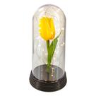 Cúpula / Redoma com Tulipa Branca inspirada no filme A Bela e A Fera!