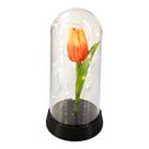 Cúpula / Redoma com Tulipa Laranja inspirada no filme A Bela e A Fera! VALOR:119,90