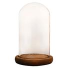 Cúpula Redoma de Vidro Decorativa 12x20cm - Base Madeira Escura - 1 unidade - Rizzo
