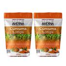 Curcuma pura Color Andina 100g - 2 pacotes
