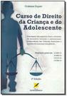 Curso de Direito da Criança e do Adolescente