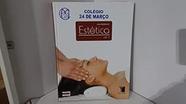Curso Didatico De Estetica Volumes 1 E 2