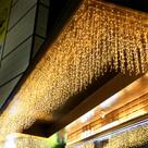 Curtain String Lights kemooie 8 modos 8m x 1m 29V Warm White