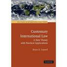 Customary International Law: A New Theory with Practical Applications Customary International Law: A New Theory with Practical Applications
