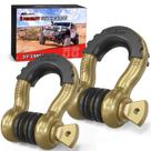 D-Ring Shackle Nilight 3/4, 9.500 libras, Break Strength, pacote com 2