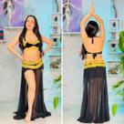 Dança do Ventre Traje Bordado Completo Franja de Renda - Pronta Entrega - TB-PE-11