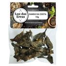 Dandá da Costa 10g (corta energias negativas e neutraliza trabalhos espirituais)