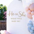 Decalque de festa Gender Reveal ZAIBIANHAO HE or SHE What Will Baby Be