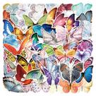 Decalque de grafite impermeável em vinil Butterfly Stickers (50 unidades)
