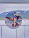 Decalques de porta com tela The Decal Empire Hummingbird Set x6
