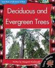 Deciduous and evergreen trees