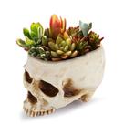 Decoração de Halloween em forma de caveira em forma de caveira de vaso de flores 15x15x20cm 600g
