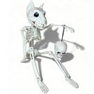Decoração de Halloween GUSYXO Cute Horror Hybrid Skeleton 16"