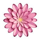 Decoração de parede de flores de metal AHYS 30 cm rosa para interior/exterior