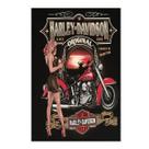 Decoração de parede Harley-Davidson Iron Painting 20x30cm para motociclista Decoração de parede Harley-Davidson Iron Painting 20x30cm para motociclista
