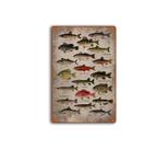 Decoração de parede Placa de lata Vintage Fish Species Chart Iron 20x30cm