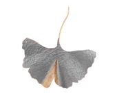 Decoração de Parede Single Ginko Modali Design