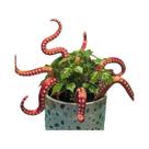 Decoração De Resina Para Plantas Em Forma De Polvo, Conjunto De 7 Peças Para Vaso De Flores
