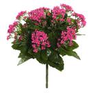 Decoração floral artificial Vickerman Hot Pink Kalanchoe Bush Decoração floral artificial Vickerman Hot Pink Kalanchoe Bush