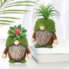 Decoração: gnomos suculentos Upltowtme, plantas verdes de primavera Decoração: gnomos suculentos Upltowtme, plantas verdes de primavera