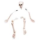 Decoração Halloween Casa e Jardim Esqueleto Humano Tamanho Real em Partes Com Estaca para Enterrar Decoração Halloween Casa e Jardim Esqueleto Humano Tamanho Real em Partes Com Estaca para Enterrar