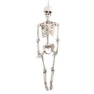 Decoração Halloween Terror Esqueleto Gigante pra Pendurar Decoração Halloween Terror Esqueleto Gigante pra Pendurar