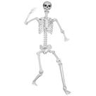 Decoração plástica posável de Halloween Skeleton LaLaMona 185 cm