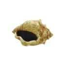 Decoração Trema Para Aquários Caracol Envelhecido