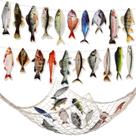 Decoraciones de Fiesta Glenmal para Cumpleaños con Tema de Pesca - 20 piezas con Red de Peces