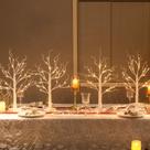 Decorações de árvore de Natal Vanthylit White Birch com LED de 2 pés