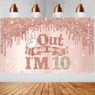 Decorações de banner de aniversário Excelloon para meninas de 10 anos