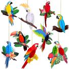 Decorações de Festa Tropical Birds Spakon - Conjunto com 9 Peças para Pendurar