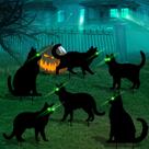 Decorações de Halloween Black Cat Yard Signs, 6 peças com estacas