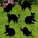 Decorações de Halloween Pzmlu Black Cat, pacote com 6 estacas