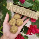Defumação Harmonia Herbal 4 unidades Linha Bombita